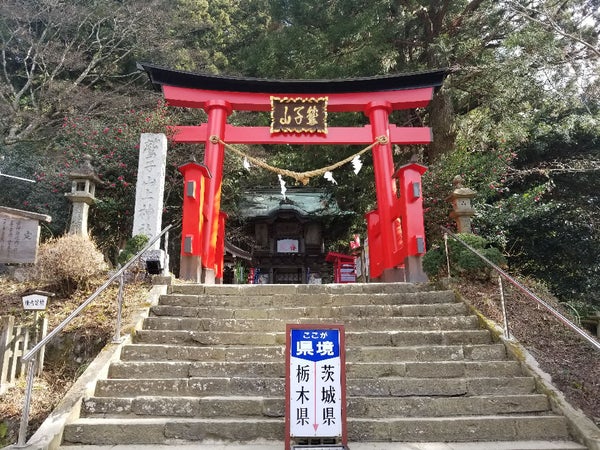 金運神社トライアングル(北関東)巡り1
